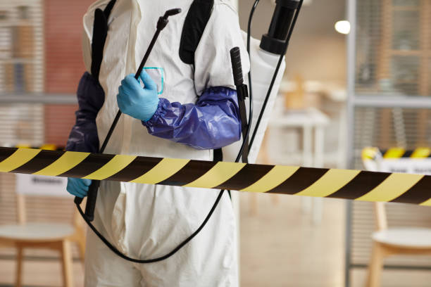 Professional Sewage Cleanup technician working in Stanhope, NJ